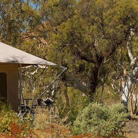 אליס ספרינגס Squeakywindmill Boutique Tent B&B מראה חיצוני תמונה